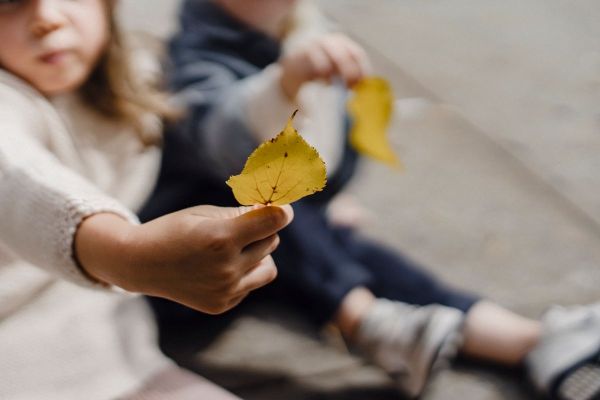 Child holding a bright yellow autumn leaf