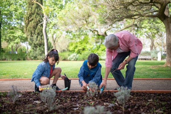 Grandpa gardening with his grandchildren