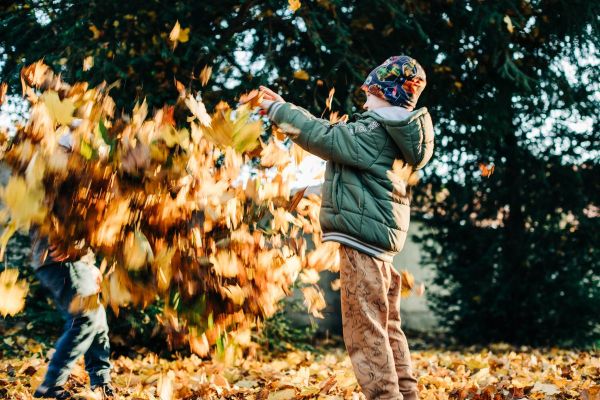 Two kids tossing colorful fall leaves in a sunny park